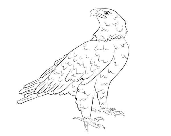 Dibujos animados águila salvaje aislado sobre un fondo blanco. — Vector de stock