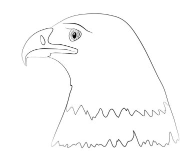 Beyaz arka planda tek başına duran kel bir kartalın portresi. Vektör illüstrasyonu.