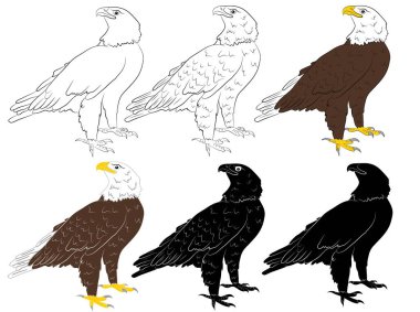 Karikatür vahşi kartal seti beyaz bir arka planda izole edilmiş. Vektör illüstrasyonu.