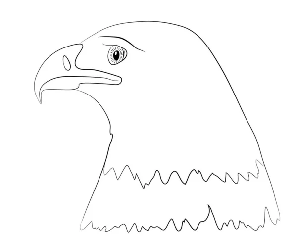 Retrato Cabeza Águila Calva Perfil Aislado Sobre Fondo Blanco Ilustración — Vector de stock