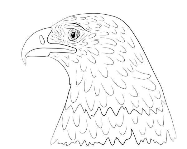 Retrato Cabeça Uma Águia Careca Perfil Isolado Fundo Branco Ilustração —  Vetores de Stock