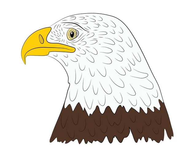 Retrato Cabeza Águila Calva Perfil Aislado Sobre Fondo Blanco Ilustración — Vector de stock