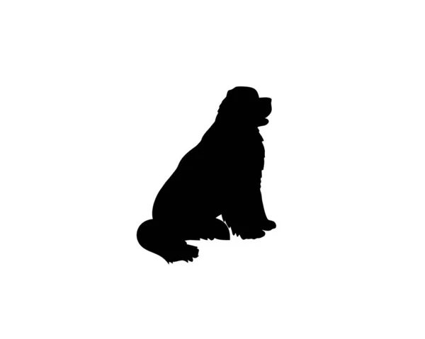 Newfoundland köpeği vektör siluetine oturuyor