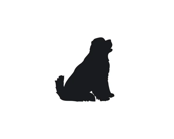Dog Newfoundland siluetinde oturuyor
