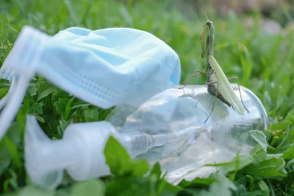 Rezando mantis que viven en la mascarilla médica desechada y la contaminación del dispensador de desinfectante de manos.Hábitat contaminado, COVID19 basura — Foto de Stock