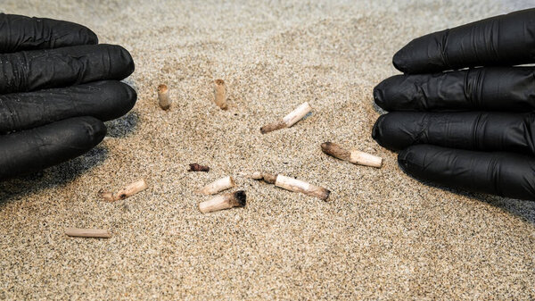Man collecting used cigarette butts discarded on sandy sea beach,ecosystem habitat pollution
