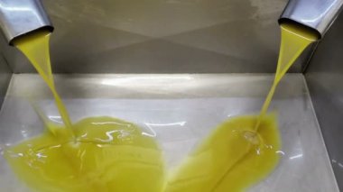 Zeytin yağı fabrikası, modern petrol çiftliği çıkarma makinesi, İtalyan ekstra bakir petrol üretimi
