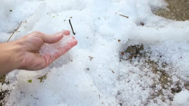 Hombre tocando cristales de granizo se amontonan después de una tormenta de hielo inusual, cambios climáticos — Vídeo de stock