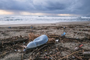 Kirli atık çöplüğündeki plastik şişe, deniz fırtınasından sonra kirlenmiş okyanus kıyısı ekosistemi
