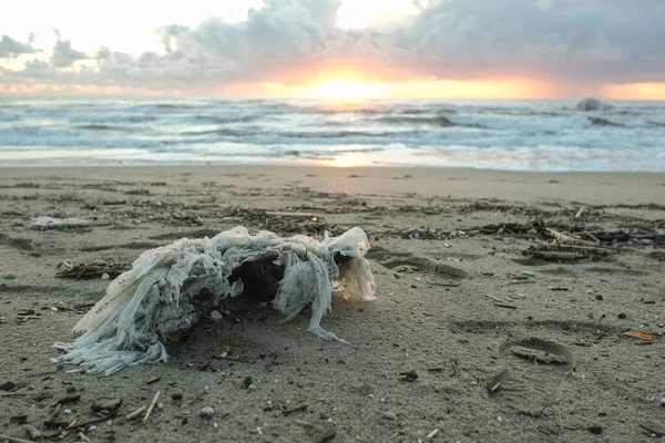 Plastic container waste and tar pollution on stormy sea coast,environmental waste contamination