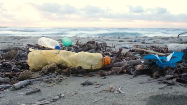 사람들은 오염 된 바 다 의해 안, 일몰 시간, 환경 폐기물로 인 한 플라스틱 병 쓰레기를 줍는다 — 비디오