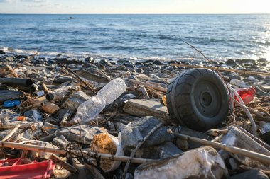 Kirlenmiş okyanus kıyısı ekosistemine atılan plastik atık kirliliği, çevresel atık 