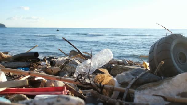 Kirlenmiş okyanus kıyısı ekosistemine atılan plastik atık kirliliği, çevresel atık — Stok video