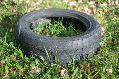Eski kullanılmış lastik araba lastiği ham orman ekosistemine atılmış, çevresel endüstriyel kirlilik