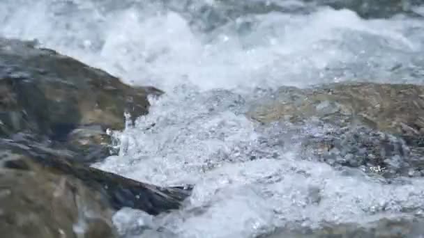 Água do rio rápida pura fluindo de perto, recurso natural de água limpa, câmera lenta — Vídeo de Stock