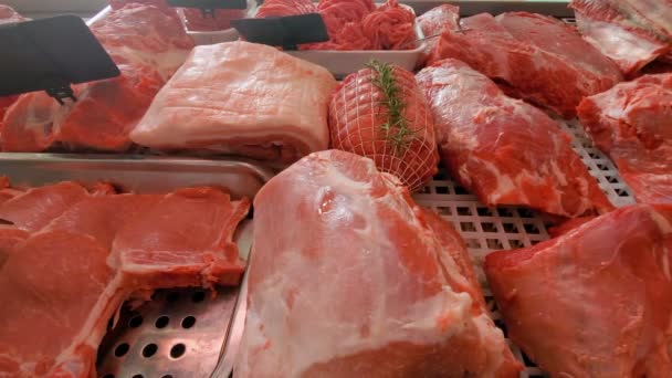 Variedad de exposición de carne en carnicería, industria alimentaria, consumo de productos animales — Vídeos de Stock
