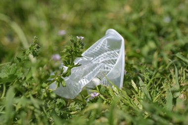 Tek kullanımlık plastik bardak çayır zeminine atıldı, çevre kirliliği...