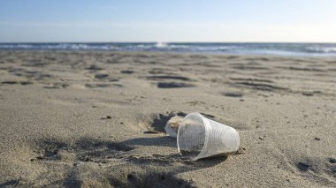 Tek kullanımlık plastik cam deniz kıyısı ekosistemine atılır, doğa atığı kirliliği