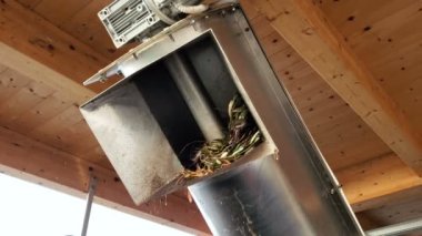 Yağ değirmeni arıtma makinesi, zeytinlerin yuvarlanması, İtalyan ekstra bakiresi.
