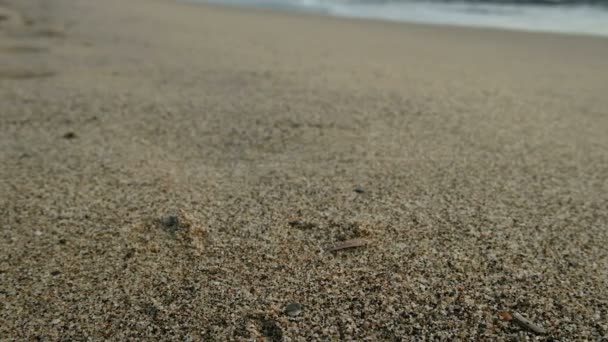 Jednorázová maska padající na špinavý mořský břeh, covid19 znečištění — Stock video