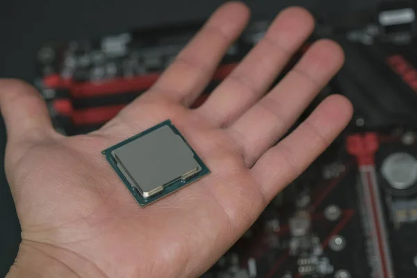 Man Hand halten Desktop-PC-CPU-Prozessor über hallo-Tech-Motherboard, Computerkomponenten Chip — Stockfoto