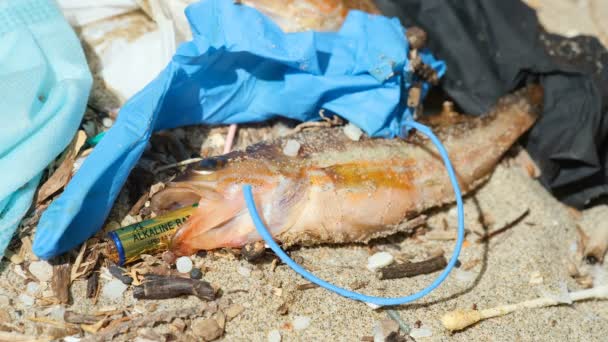 Peixes mortos a comer bateria alcalina em detritos plásticos habitat marinho poluído, resíduos — Vídeo de Stock