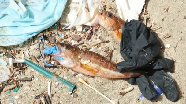 Ocean Fish dead eating plastic rubber jednorázové rukavice na troskách znečištěného mořského prostředí — Stock video