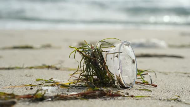 Tek kullanımlık plastik bardak deniz kıyısındaki ekosisteme atılmış ve arka planda yürüyen insanlar, kirli doğa — Stok video