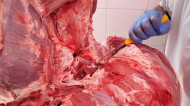 Kasap, kemik kırma, biftek parçalama, güvenlik eldiveni ve yemek dağıtıcılığı üzerinde çalışıyor.