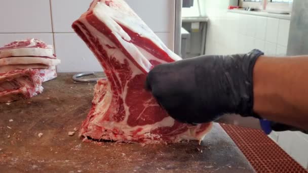 Slachtoffer werk aan het snijden van rundvlees t-bone steak vlees met behulp van veiligheidshandschoenen, voedingsindustrie — Stockvideo
