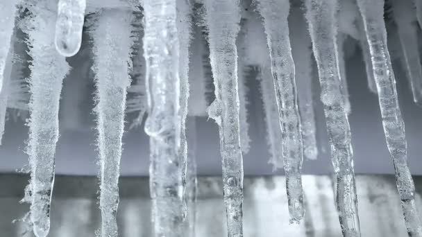 Superficie de hielo descongelación derretimiento efecto timelapse, ciencia del cambio climático, calentamiento global — Vídeos de Stock