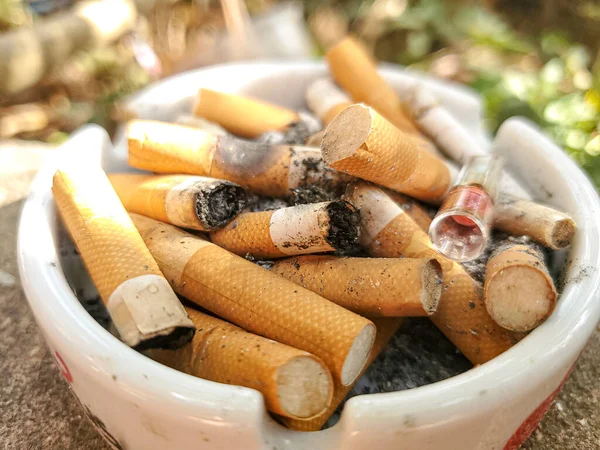 Used Cigarette butts isolated,tobacco smoke addiction concept,unhealthy waste pollution