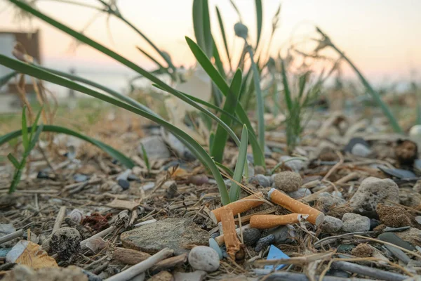 Kirli sigara izmaritleri deniz sahiline atılmış, ekosistem habitatı kirliliği