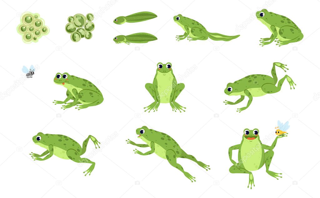 Set of cartoon frog 