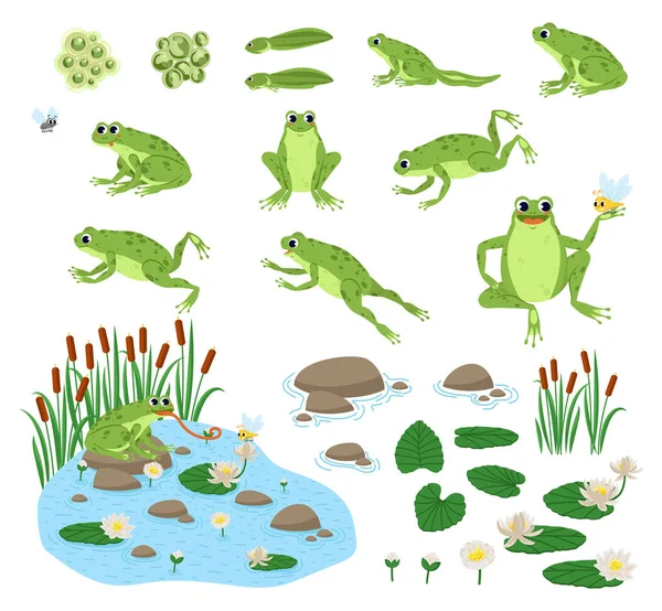 Set of cartoon frog — Stock Vector