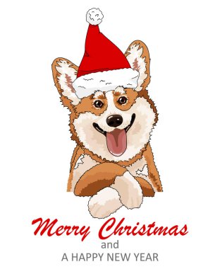 Şirin Corgi. Xmas