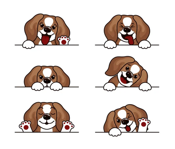 Beagle perro vector — Vector de stock