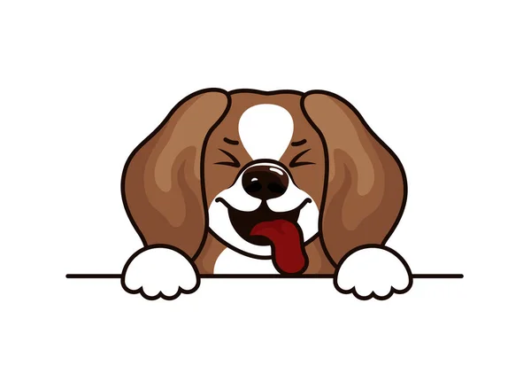 Beagle Dog Vektor — Stockvektor