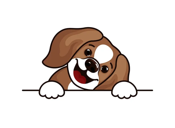 Beagle perro vector — Vector de stock