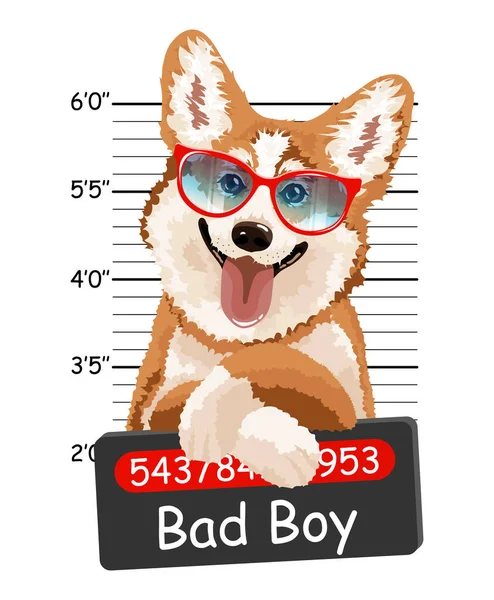 Welsh Corgi crimineel. — Stockvector