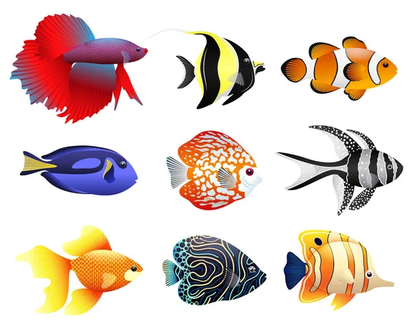 Fish vector collection — Stock Vector