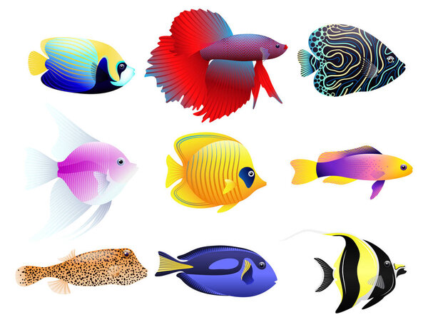 Fish vector collection