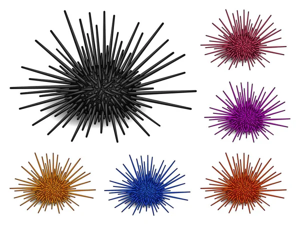 Вектор морского ежа — стоковый вектор