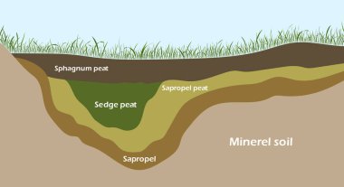 Peat vektör illüstrasyonu