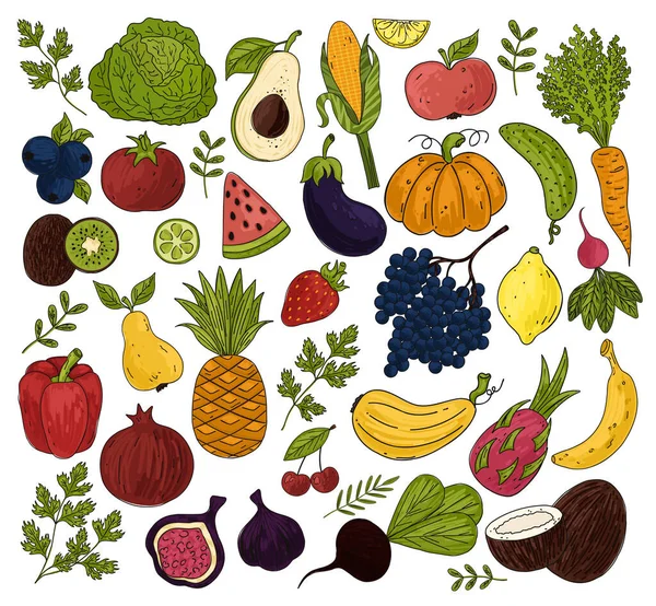 食品、蔬菜和水果. — 图库矢量图片