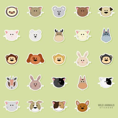 sevimli hayvanların yüzleri