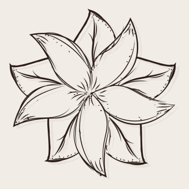 Ayrı bir çiçek çizimi.