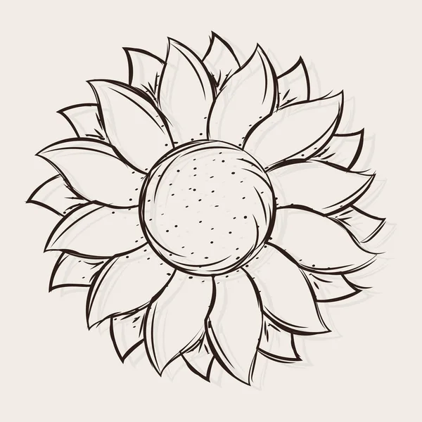 Esbozo aislado de un girasol — Archivo Imágenes Vectoriales