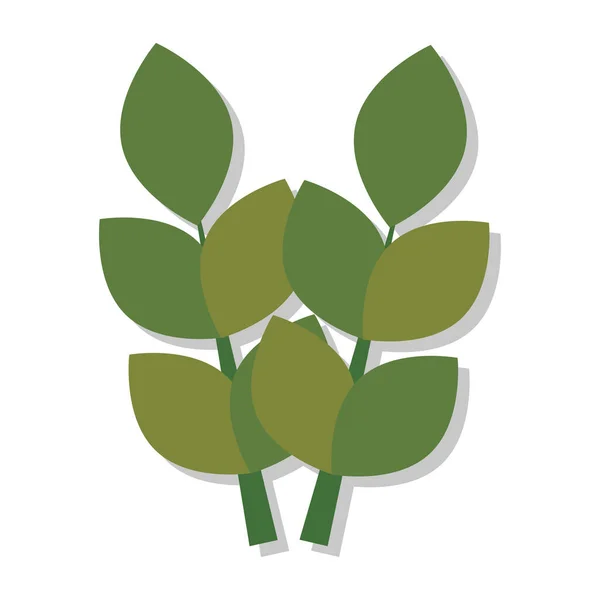 Icono aislado par de hojas de cebada — Vector de stock
