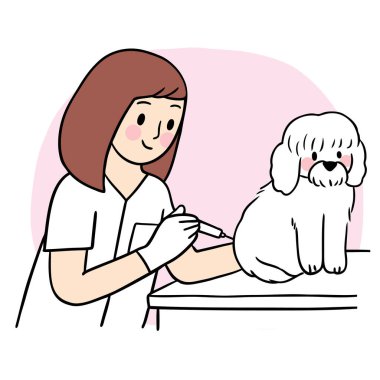 Veteriner köpeği için enjeksiyon niyetine